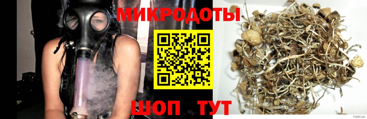 Псилоцибиновые грибы мицелий  Вход с VPN  Новошахтинск 